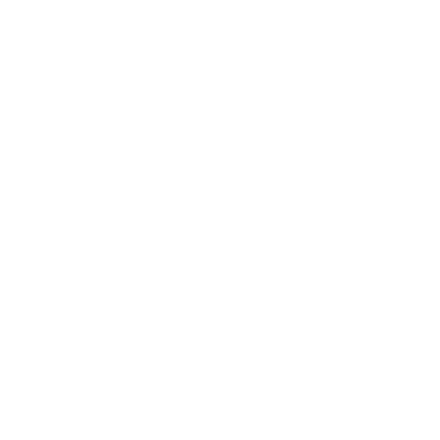 Mount Vernon Ventures